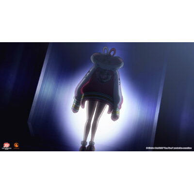 09-OnePiece©EiichiroOda_One Piece_production-committee.jpg